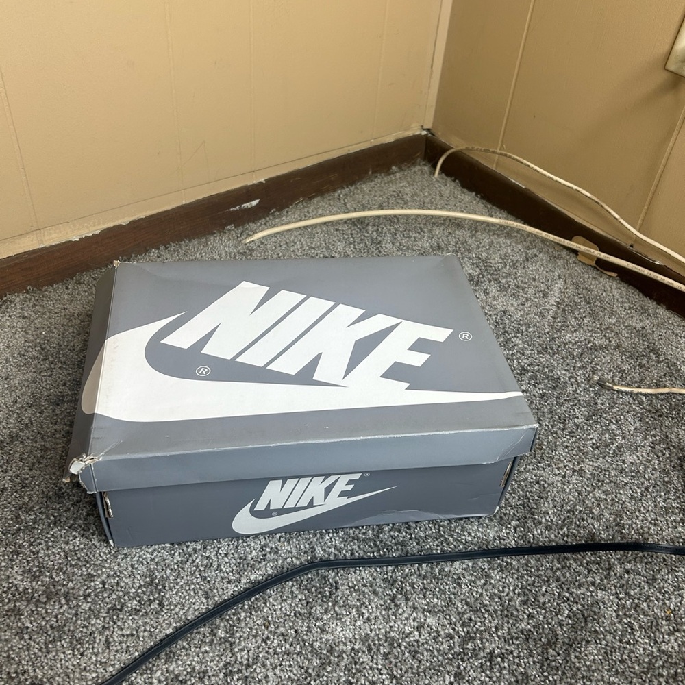 Nike Gray and White Shoe Box